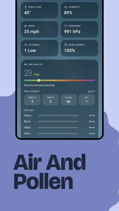 Weather screenshot — air quality and pollen